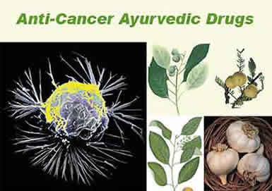 cancer-cells-ayuvedic-herbs